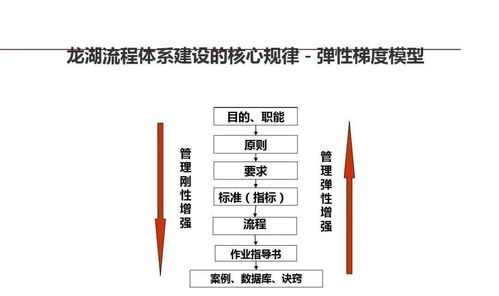龍湖集團 以精細化管理鍛造企業標桿的運營之道